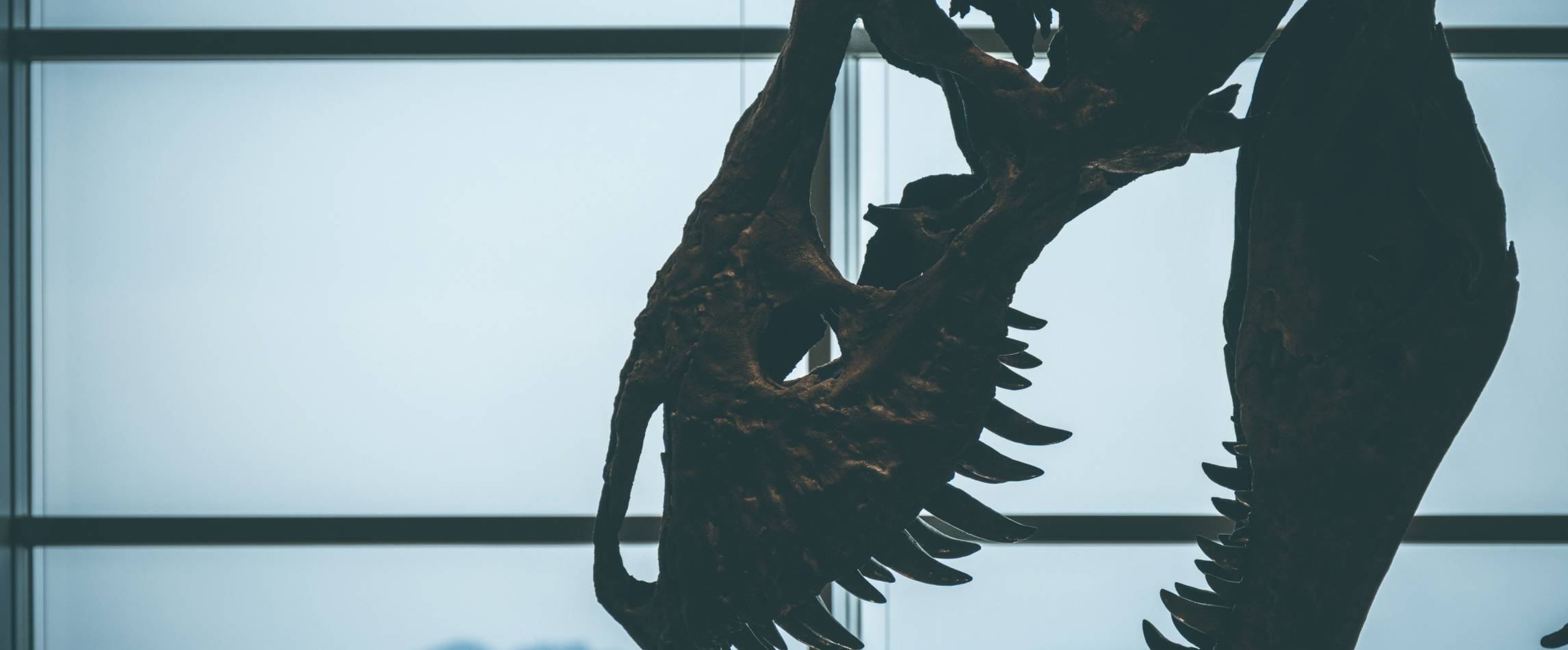 Nagasaki Wonder 100 Gallery