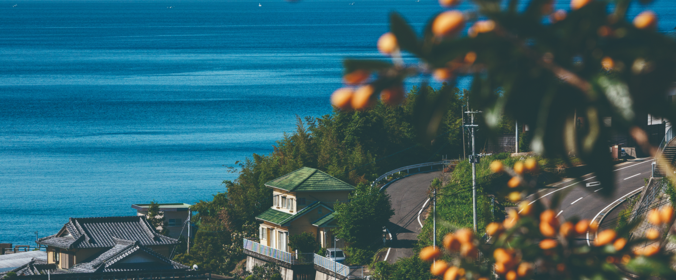 Nagasaki Wonder 100 Gallery