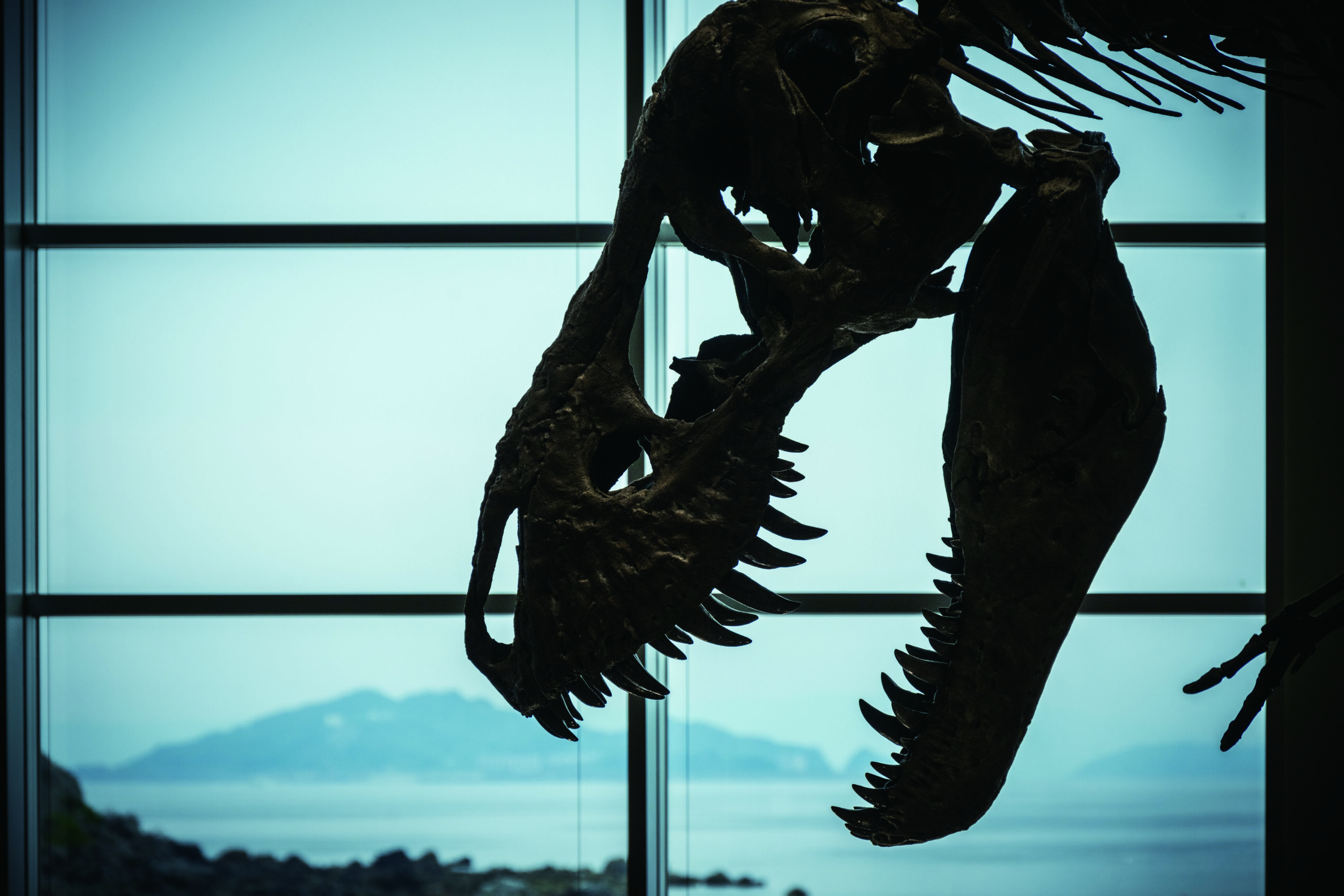 恐竜という日本語をつくったのは、長崎の人です。