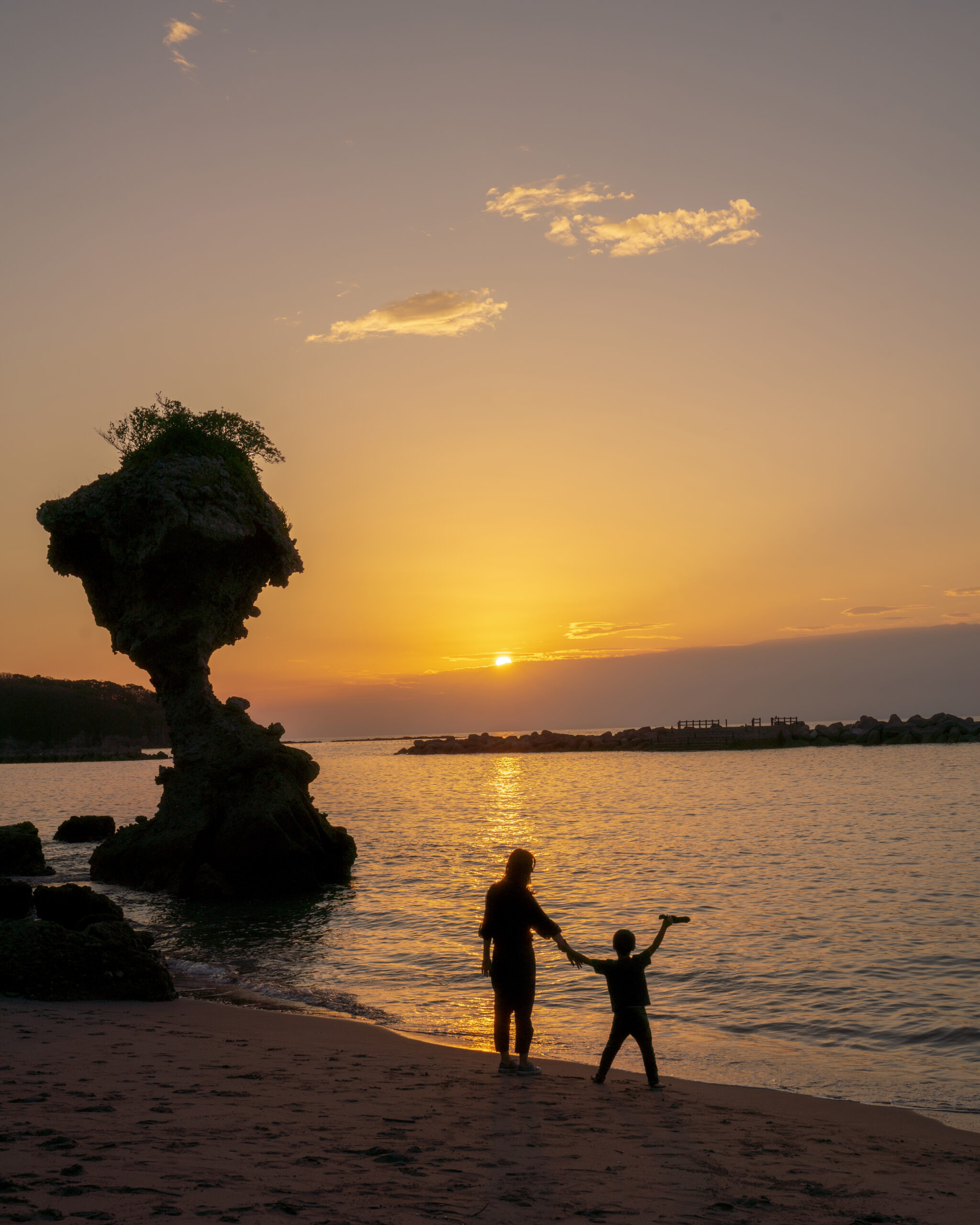 長い長い年月をかけて、波がかじっていった、りんごです。