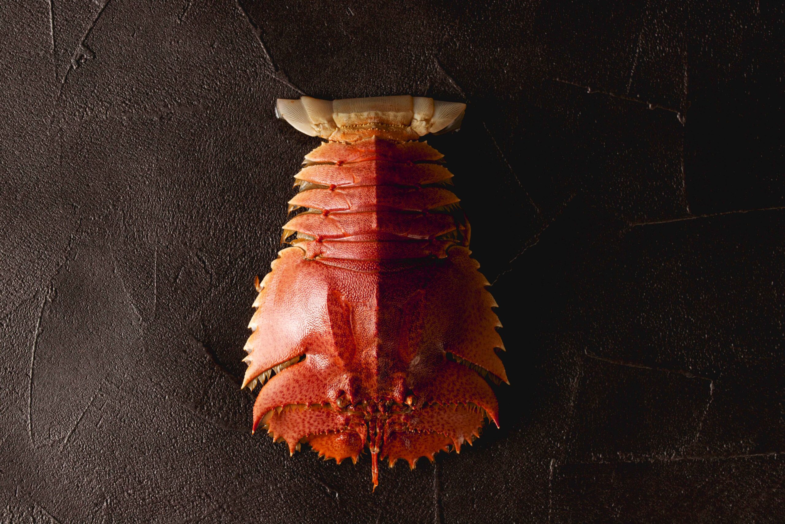 はじめまして、うちわ海老です。