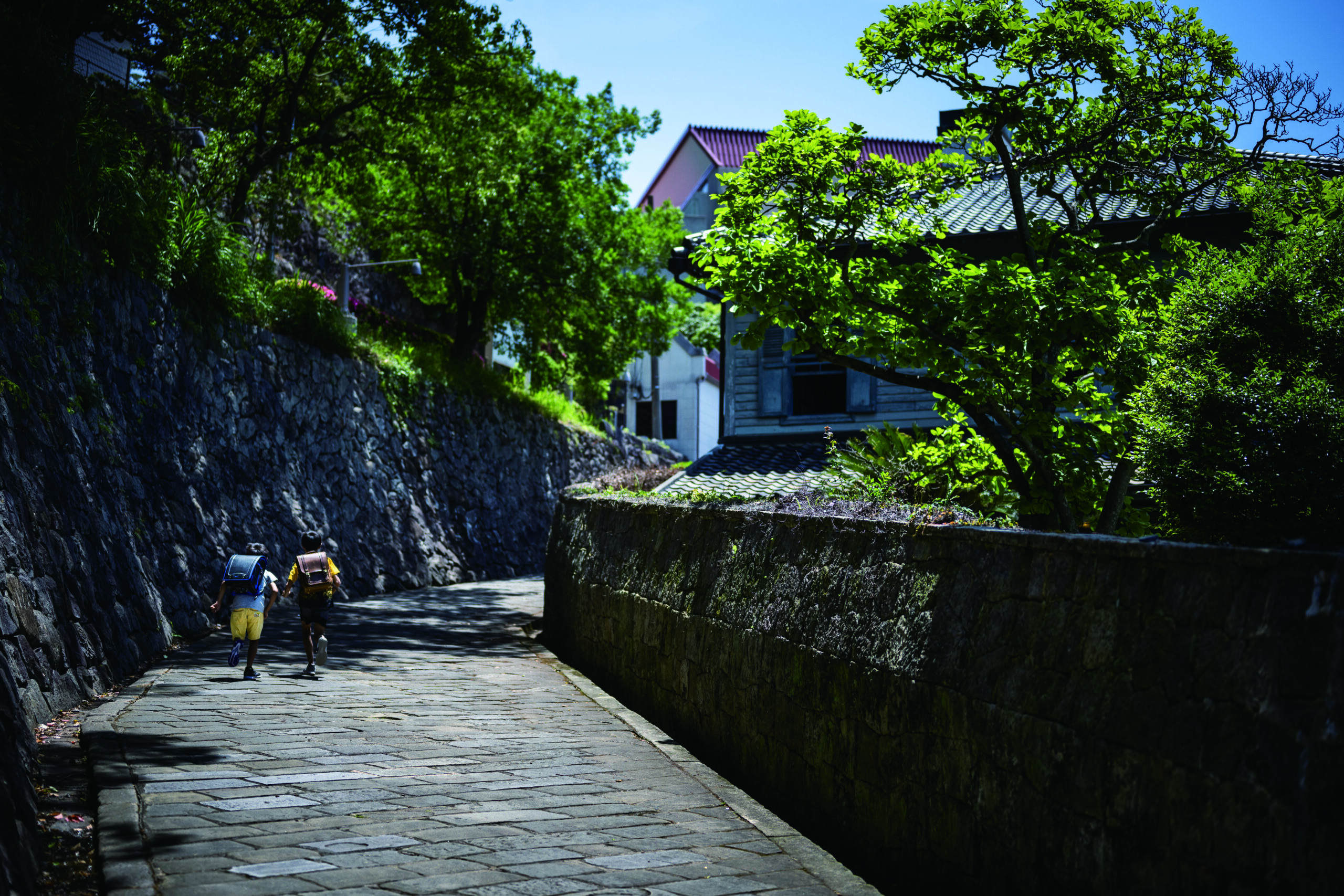 オランダの隣国は、中国です。